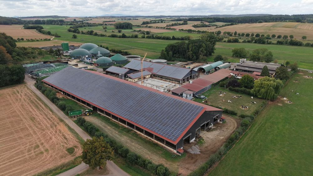 Schneider Landwirtschaft – Einblick 4
